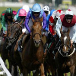 Royal Ascot Limos